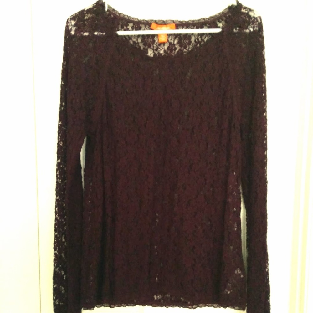 Long Sleeved Stretch Lace Top